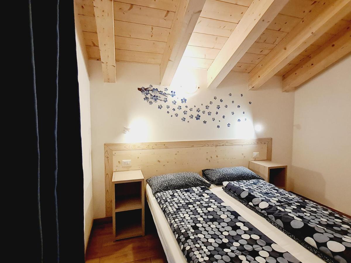 Selva Apartment