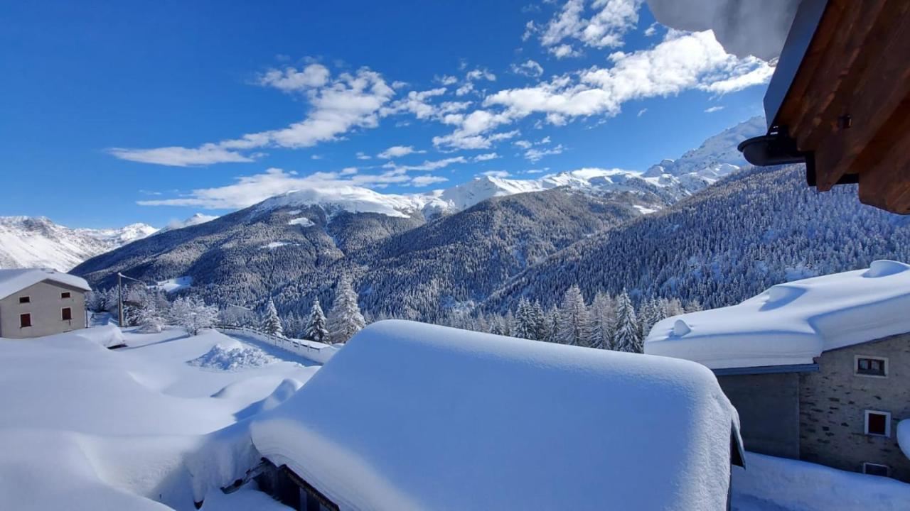 Selva * Isolaccia