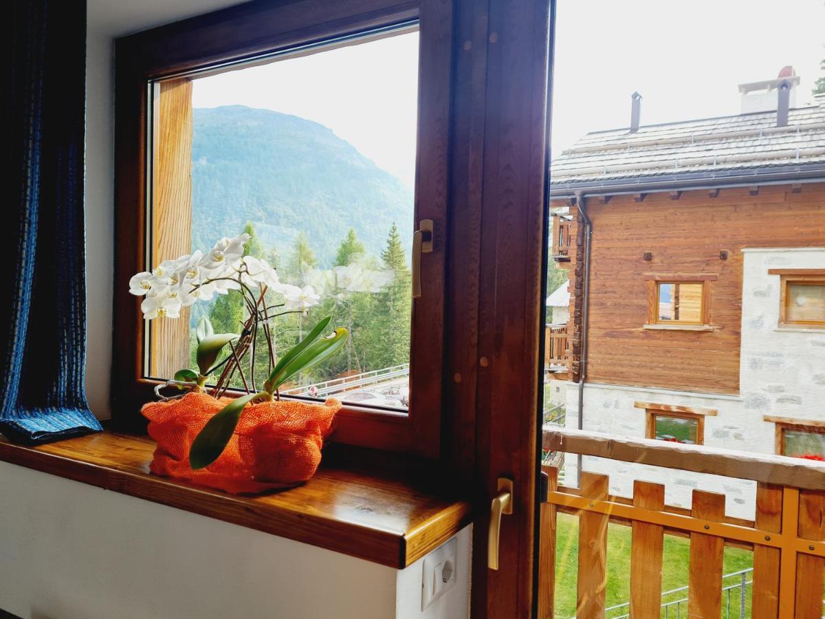 Selva Apartment Isolaccia