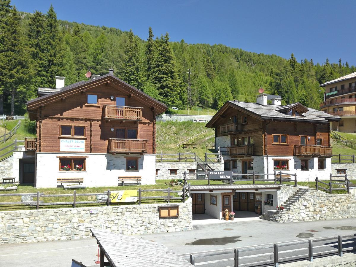 Apartment Selva *